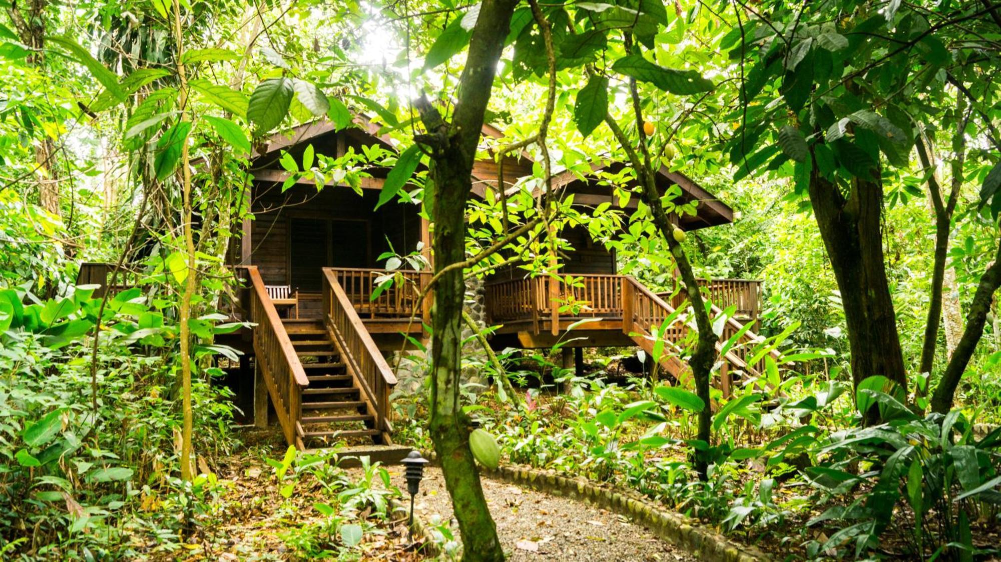 The Lodge & Spa At Pico Bonito El Pino Exteriör bild